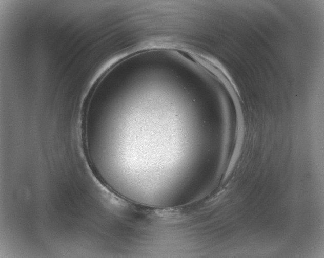 X0000067331147200604071318