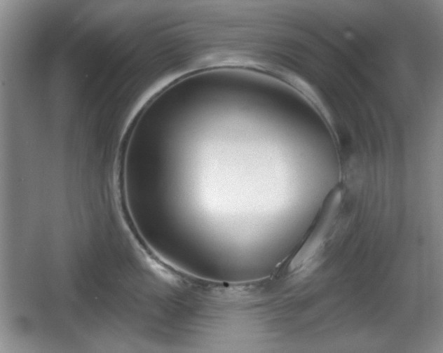 X0000067331149200604071318