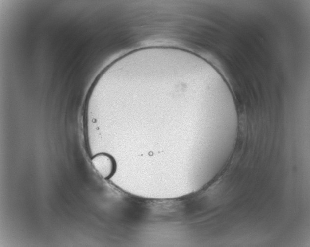 X0000067331150200604071318