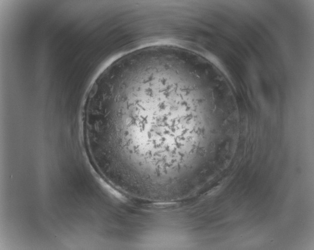 X0000067331151200604071319