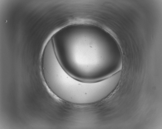 X0000067331152200604071319