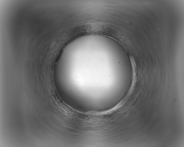 X0000067331153200604071318