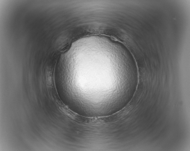 X0000067331154200604071318