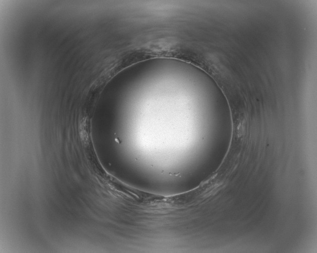 X0000067331156200604071318