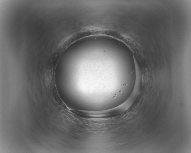 X0000067331157200604071318