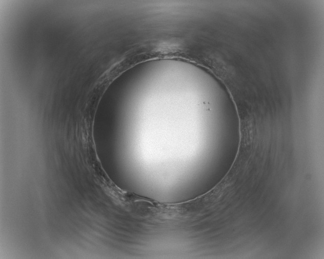 X0000067331158200604071318