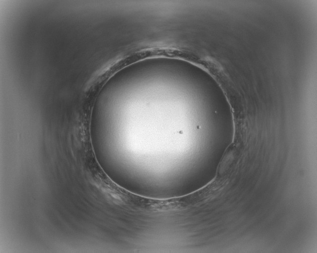 X0000067331159200604071318