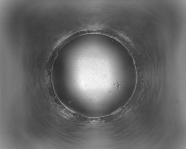 X0000067331160200604071318