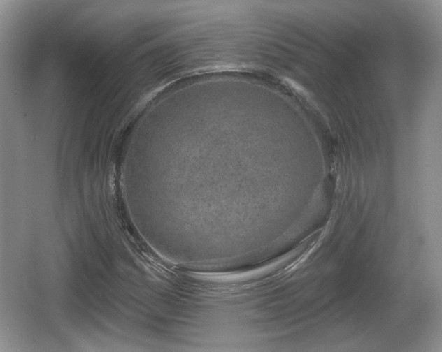 X0000067331161200604071318