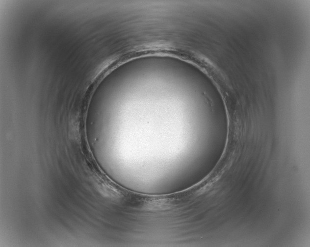 X0000067331162200604071318