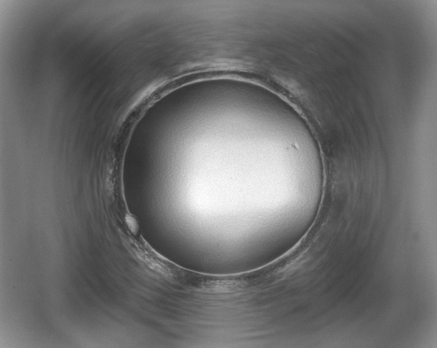 X0000067331163200604071318