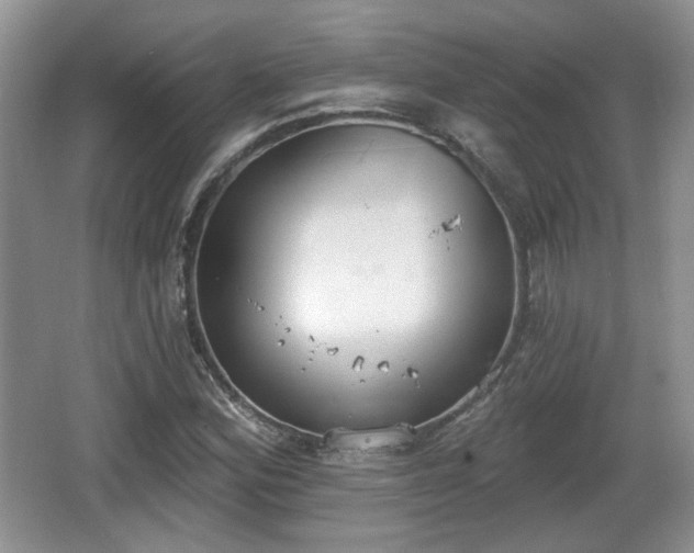 X0000067331164200604071318