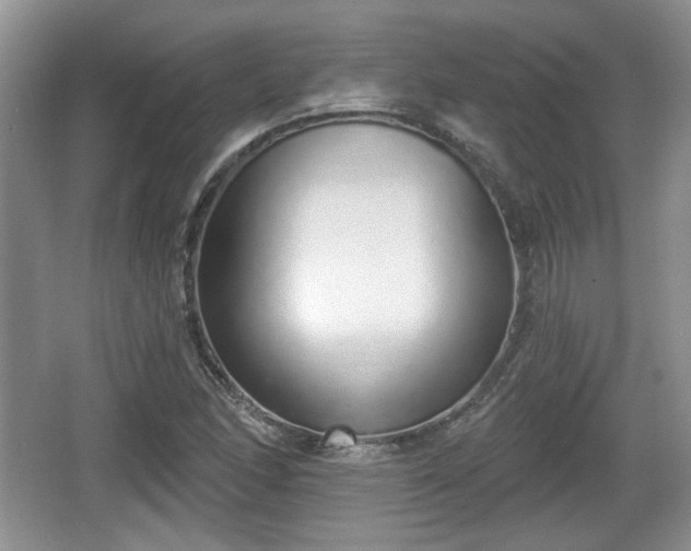 X0000067331166200604071317