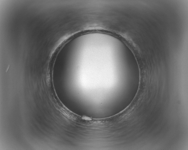 X0000067331167200604071317