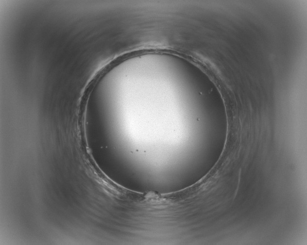 X0000067331168200604071317