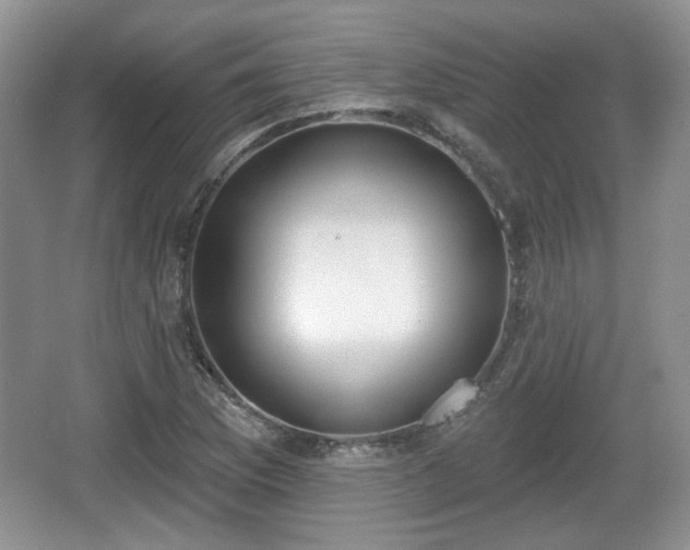 X0000067331169200604071317