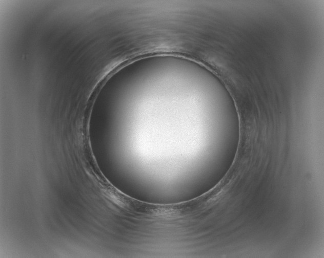 X0000067331170200604071317