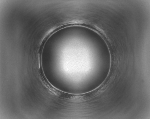 X0000067331171200604071317