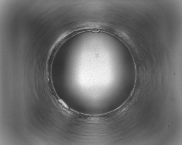 X0000067331172200604071317