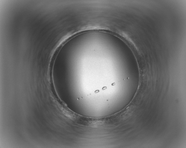 X0000067331173200604071317