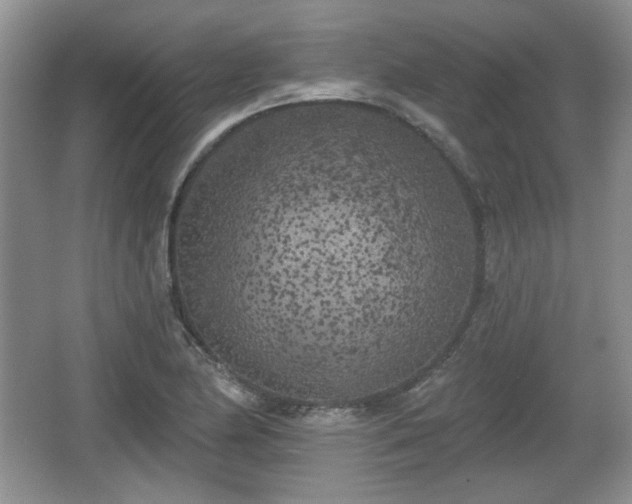 X0000067331174200604071317