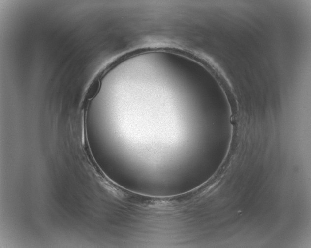 X0000067331175200604071317