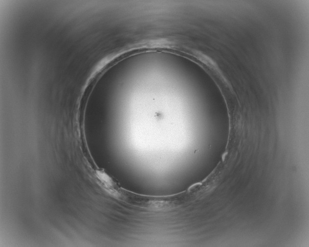 X0000067331176200604071317