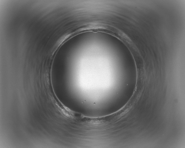 X0000067331177200604071317