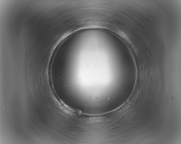 X0000067331181200604071317