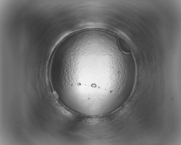 X0000067331182200604071317