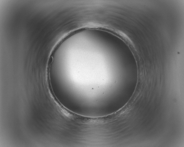 X0000067331183200604071317