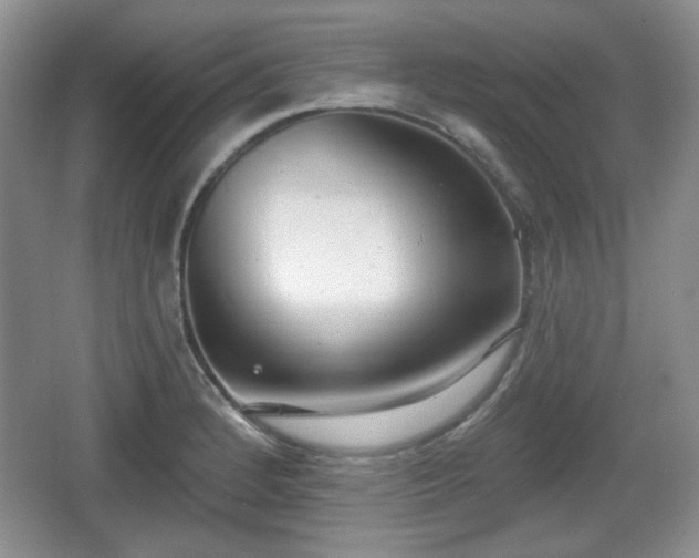 X0000067331184200604071317