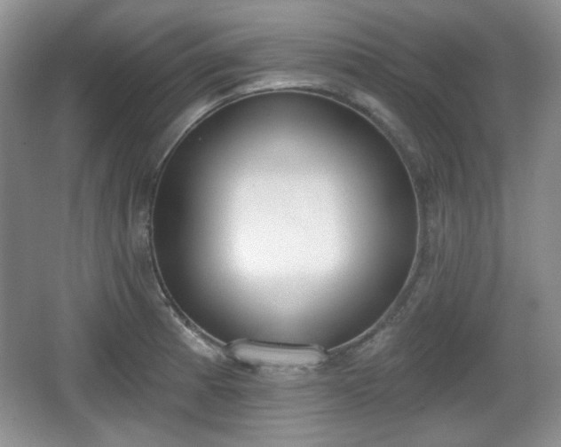 X0000067331185200604071317