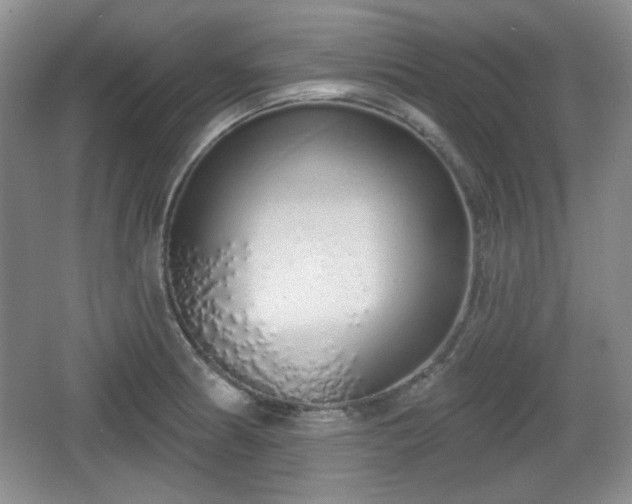 X0000067331186200604071317