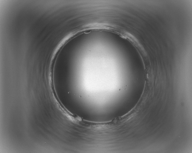 X0000067331188200604071317