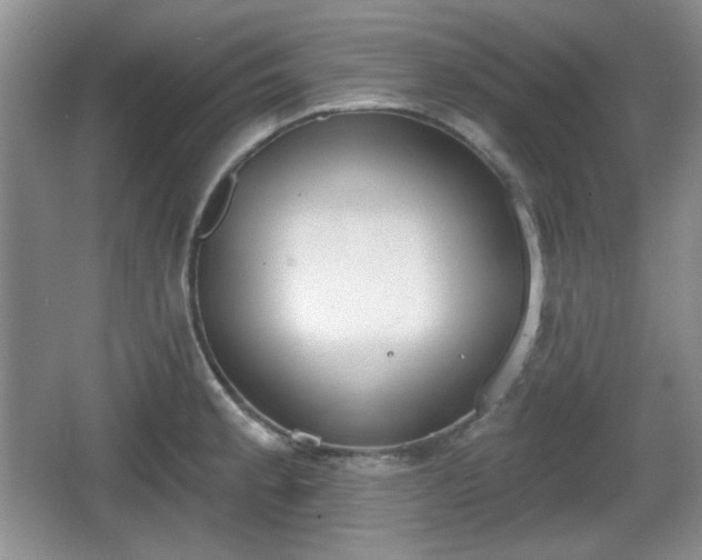 X0000067331189200604071317