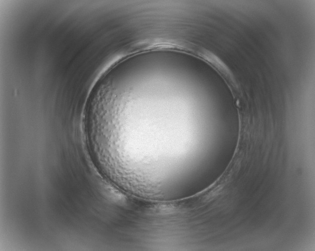 X0000067331190200604071317