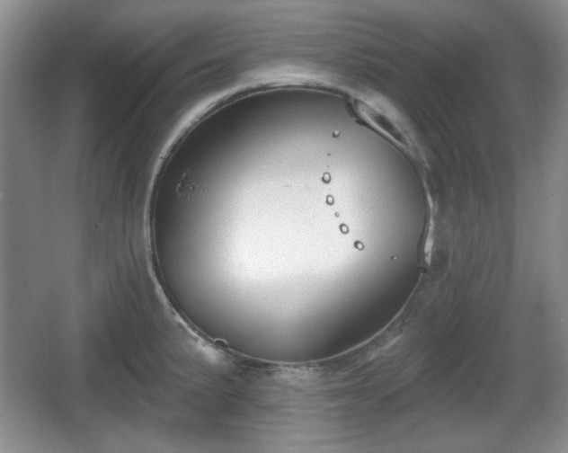 X0000067331191200604071317