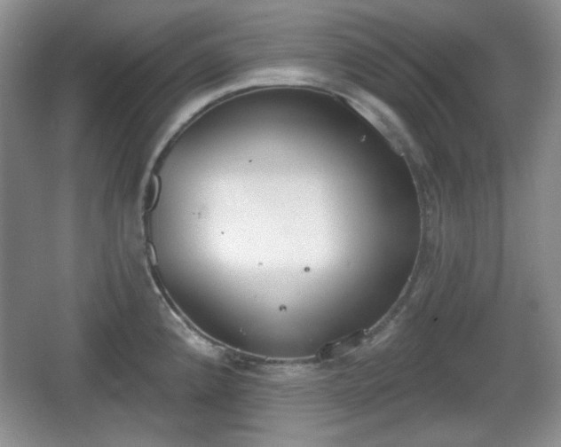 X0000067331192200604071317