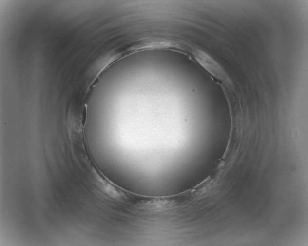 X0000067331193200604071317