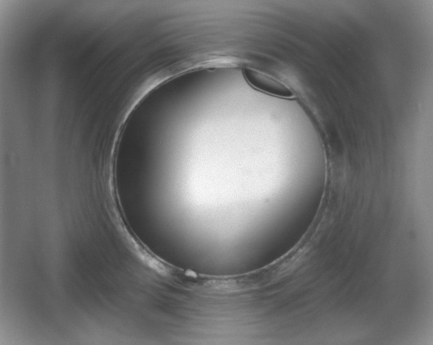 X0000067331194200604071317