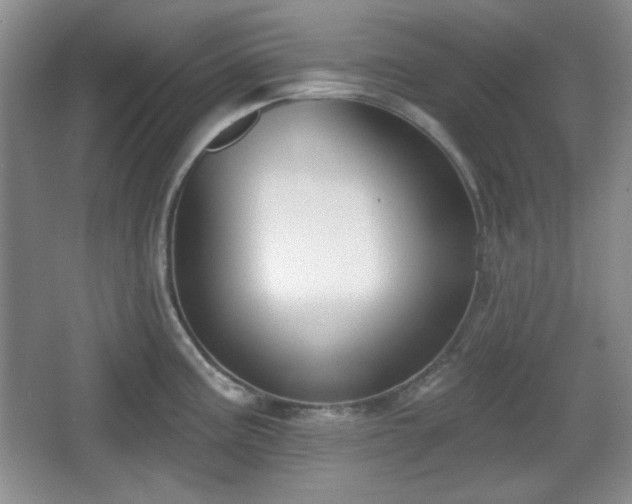 X0000067331195200604071317