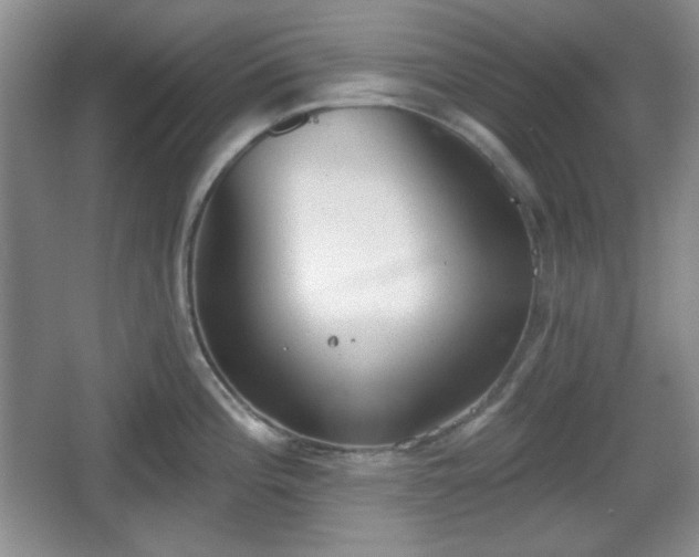 X0000067331196200604071317