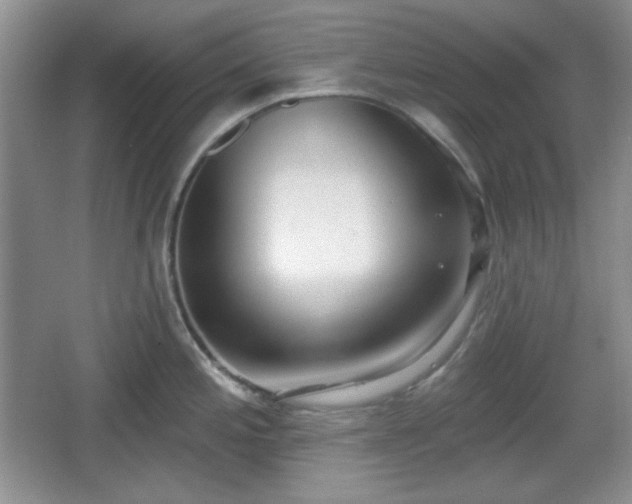 X0000067331197200604071317