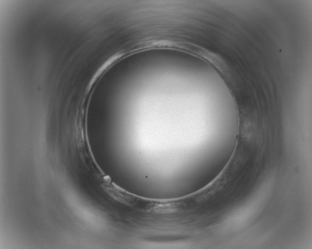 X0000067331198200604071317