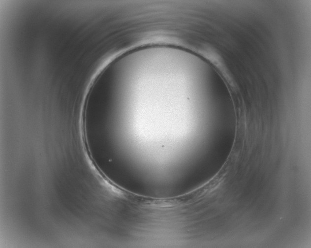 X0000067331199200604071317