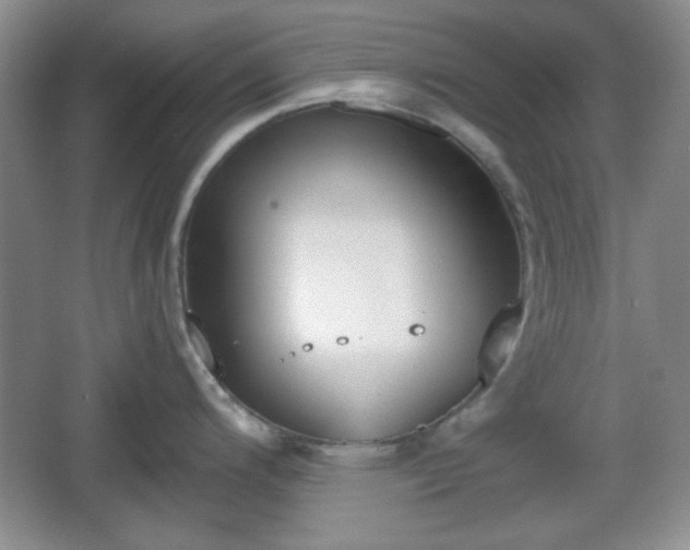 X0000067331200200604071317