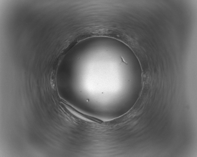 X0000067331202200604071316