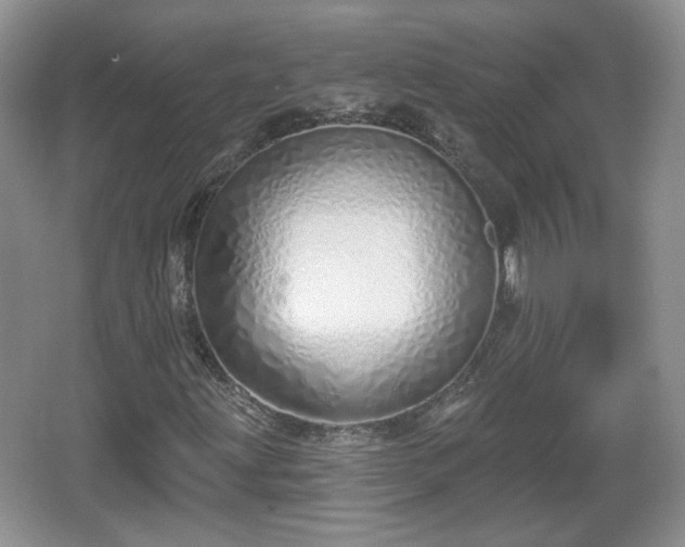 X0000067331203200604071316