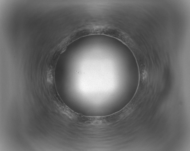 X0000067331204200604071316